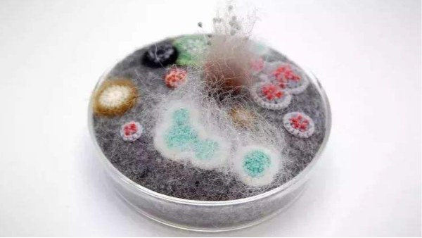 工業(yè)用制品如何除濕防潮防霉防氧化知識